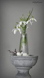 P12602536 Jpg Image Spring Arrangements White Flowers Fresh Tulips
