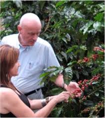 Coffee production on the island goes back centuries, and at one point, puerto rico was among the top 10 coffee producers worldwide, according to sandra farms coffee. Discovering Coffee Plantations Of Puerto Rico