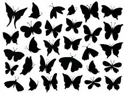 Papillon Silhouette Mariposa Butterfly Wing Moth Wings Silhouettes And Spring Flower Butterflies Isolated Set In 2020 Illustration Blume Schattenbilder Blumen Skizzen