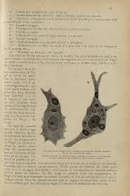 R~~~ta~~H~i~ll~YSani~adP~cnafia~