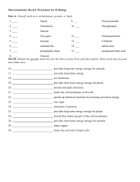 Try to remember, you always have to care for your child with amazing care, compassion and affection. Macromolecules Worksheet 2