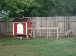 This adorable coop is not only fancy, it's easy to build, even for a beginner carpenter! Backyard Chicken Coop 6 Steps With Pictures Instructables