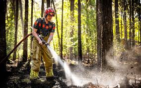 Van vonk naar vuurzee