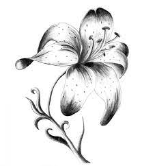 Black And White Lily Tattoo Design Idea