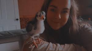 First pair of sneakers and I'm in love