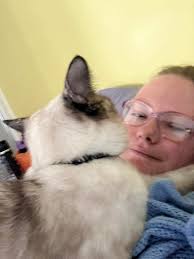 Merry Christmas from Dojo (dark cat) & Cloud! Couldn't get them to sit  together for a picture...😆