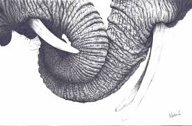We did not find results for: Detailed Photo Realistic Elephant Pencil Drawing By Nadia Coker Realistic Pencil Drawings Elephant Tattoos Elephant Art