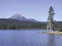 The lake's islands provide nesting habitat for the piping plover and large numbers of american white pelicans. Lake Of The Woods Oregon Wikipedia