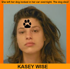 KASEY WISE facing another criminal charge after her dog died for being left  in a hot car overnight