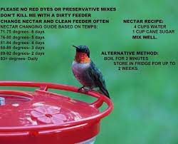 Pin By Paula C On Garden Art Can Be For The Birds Hummingbird Food Nectar Recipe Humming Bird Feeders