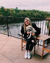 The wisconsin humane society is committed to providing protection, shelter, and care for wild and homeless animals. 9 Dog Friendly Wisconsin Dells Ideas Wisconsin Dells Dog Friends Pet Friendly