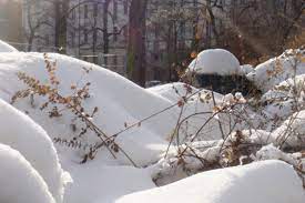 Diese frage ist gar nicht so leicht zu beantworten. Winteranfang 2020 Welt Zeit Uhren Info