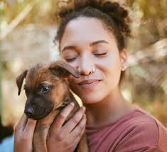 affordable housing development group non-profit