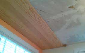 No core voids, knots or splits. Tongue And Groove Ceiling Lowes Homeimprovementall