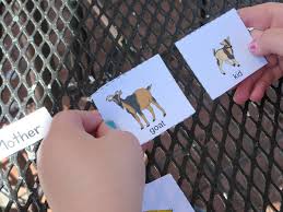 Baby Animal Names Free Downloadable Matching Activity