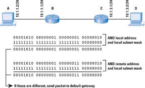 Working With Ip Addresses Brain Knowledge