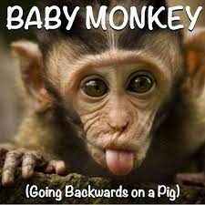 Baby Monkey Going Backwards On A Pig Single By Blob Spotify