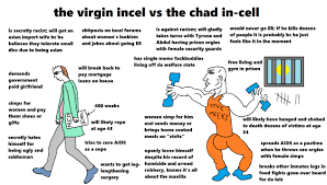 Chad wiki, the only place on the internet that's bulging with information on the outlandish characters and absurd lore of the virgin vs. The Virgin Incel Vs The Chad In Cell Virginvschad