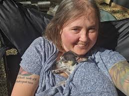 Adopted chihuahua rescue dog's story