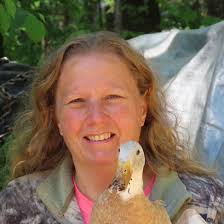 Why do we react differently to a dog's bark than a cat's meow?