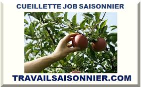 Cueillette Job Saisonnier