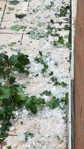 Macchina col parabrezza spaccato dai chicchi Meteo Modena La Grandine Del 22 Giugno 2019 Meteo Ilrestodelcarlino It