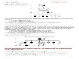 Skips generation afflicted are all male two different dads but same mother suggests likelihood of both. 31 Genetics Pedigree Worksheet Answers Free Worksheet Spreadsheet