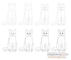 Draw other curves for the muzzle as eyebrows and mustaches. How To Draw A Cat Step By Step From Front View Easydrawingtips