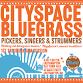 CitySpace Bluegrass