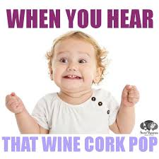 When You Hear That Wine Cork Pop Wine Meme Social Vignerons Wine Meme Wine Humor Wine
