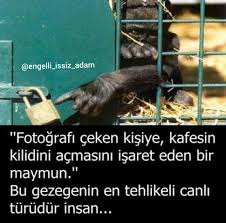 Instagram Takip Edin Lutfen Engelli Issiz Adam Bilgi Gercekler Hayvan Sozleri