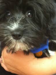 Aiden Koop (@akoop3)