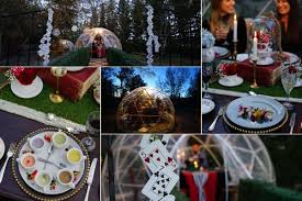 Free shipping on orders over $25 shipped by amazon. Alice In Wonderland Pop Up Dome Dinner Bow Valley Ranche Restaurant