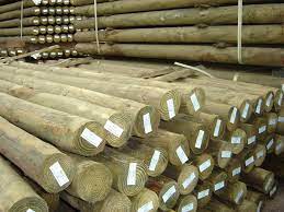 And in diameters from 5 to 16 in. Treated Posts Poles Columns Nationwide American Pole Timber