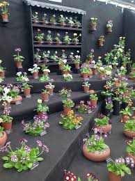 Rhs Chelsea Flower Show 2014 Chelsea Flower Show Flowers Perennials Plants