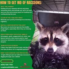 The louisiana department of wildlife and fisheries is responsible for managing and protecting louisiana's abundant natural resources. Xceptional Wildlife Home Facebook