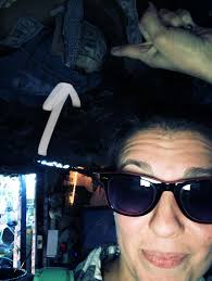 Someone hide my credit card, I'm going in 🔥🤑