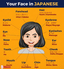 A smart animatronic human face. Let S Learn The Different Parts Of The Face In Japanese