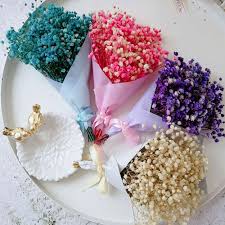 Preserving color in dried flowers. Mini Daisy Small Star Flowers Decorative Dried Flowers Bouquet Natural Plants Preserve Floral For Wedding Home Decoration Special Price 60f2 Goteborgsaventyrscenter