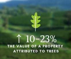 Maybe you would like to learn more about one of these? Pricing And Costs For Tree Services In North Carolina