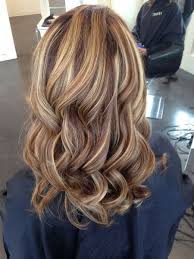 Chocolate Blonde Hair Color 10 Brown Hair With Blonde Highlights Blonde Hair With Highlights Hair Styles