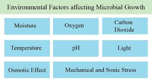 Temperature and rainfall affect the intensity of leaching and the weathering of soil minerals. Environmental Factors Affecting Microbial Growth Basic Microbiology The Biology Notes