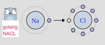 Sodium chloride /ˌsoʊdiəm ˈklɔːraɪd/, commonly known as salt (although sea salt also contains other chemical salts), is an ionic compound with the chemical formula nacl. Go Lang Rsa Nacl Cryptography
