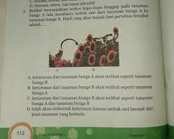 Check spelling or type a new query. Berikut Menunjukkan Seekor Kupu Kupu Hinggap Pada Tanaman Bunga A Lalu Membawa Serbuk Sari Dari Brainly Co Id