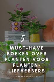 Pin Op Anthurium Blogs Nl