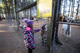 We did not find results for: Up Close Adventures For Animal Lovers Petting Zoos Near The Fox Valley