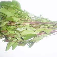 1,336 likes · 35 talking about this. Pdf Determination Of Levels Of Cathine In Khat Catha Edulis Leaves And Its Detection In Urine Of Khat Chewers A Preliminary Report