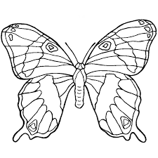 Check spelling or type a new query. Butterfly Mandalas 117396 Mandalas Printable Coloring Pages