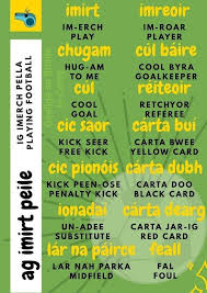 Pin On Gaeilge