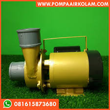 Pipa 1/2 inch dengan panjang 9 cm yang di isi dengan semen, fungsinya sebagai pemberat. Pompa Air Listrik 2 Inch Jual Pompa Air Kolam Ikan Murah Dan Hemat Listrik